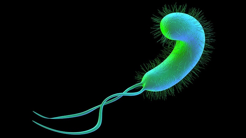 H pylori Infection Linked to Increased Alzheimer's Risk